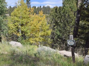 469 Ute Dr Cimarron, Colorado - Land for sale Atha Team Real Estate
