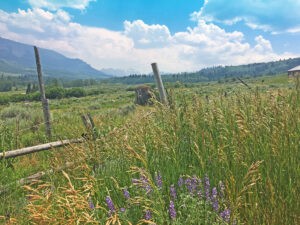 TBD Eagles Rest Dr, Cimarron, CO 81220 - Atha Team Land for Sale
