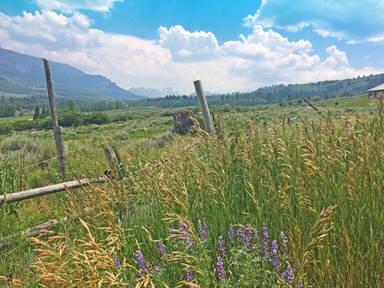 Atha Team Montrose Co Land for Sale Keller Williams Real Estate