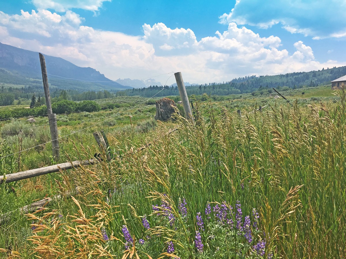 Atha Team Montrose Co Land for Sale Keller Williams Real Estate