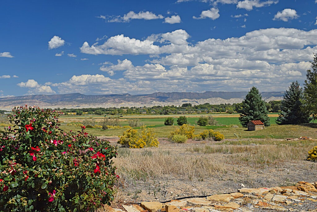 Atha Team Montrose Co Land for Sale Keller Williams Real Estate