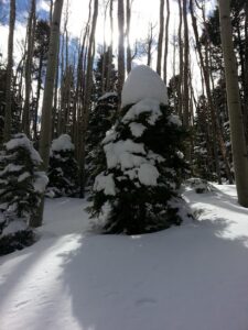 Colorado Skiing in Deep Snow - Atha Team Blog