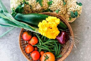 Vegetable-Crop-Gardening---Atha-Team-Blog---PhotoCredit-RenellGood